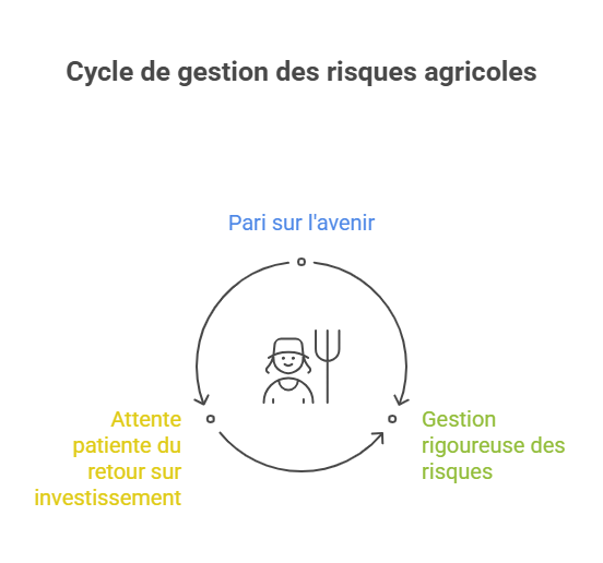 licence de jeu + certification RNG